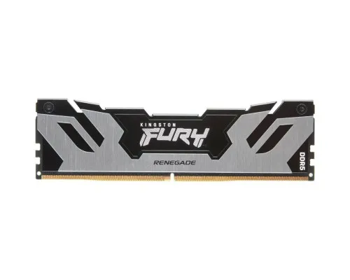 Модуль памяти для компьютера DDR5 16GB 8000 MHz Renegade Silver XMP Kingston Fury (ex.HyperX) (KF580C38RS-16)