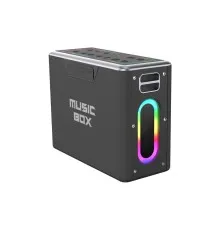 Акустична система HIFuture MusicBox Black (musicbox.black)