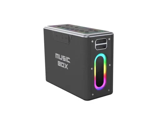 Акустична система HIFuture MusicBox Black (musicbox.black)