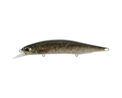 Воблер DUO Realis Jerkbait 120SP Pike 120mm 17.8g CCC3815 Brown Trout N (34.27.86)