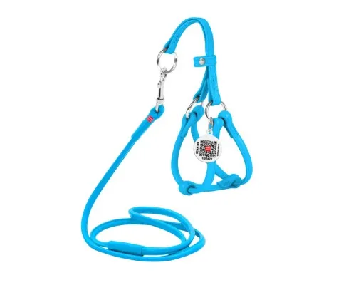 Шлей для собак WAUDOG Glamour с поводком круглая Д 6 мм А 26-46 см В 30-50 см голубая (34012)