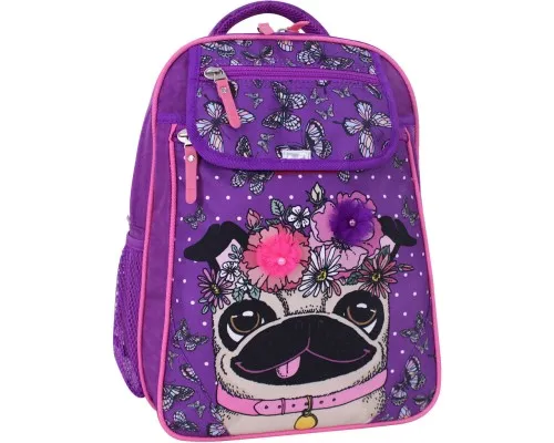 Рюкзак школьный Bagland Отличник 20 л. фиолетовый 890 (0058070) (418214848)