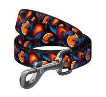 Повідець для собак WAUDOG Nylon "Апельсини" M (341-4054)