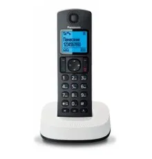 Телефон DECT Panasonic KX-TGC310UC2