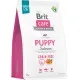 Сухий корм для собак Brit Care Dog Grain-free Puppy беззерновий з лососем 3 кг (8595602558810)