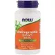 Травы Now Foods Экстракт Андрографиса 400мг, Andrographis Extract, 90 капсу (NOW-04591)