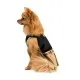 Сукня для тварин Pet Fashion Chic М капучіно з чорним (4823082424993)