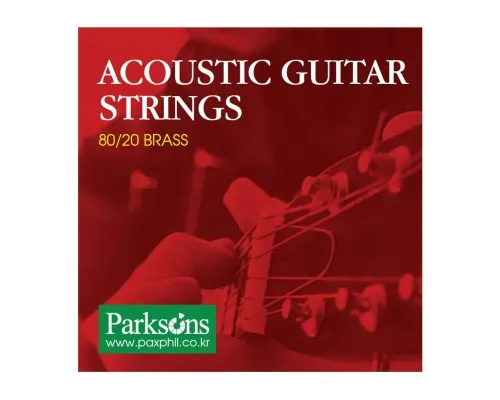 Струни для гітари Parksons Acoustic L (12-52) (S1252)
