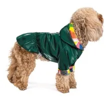 Ветровка для животных Pet Fashion "AIR" для собак размер XS (зеленая) (4823082420650)
