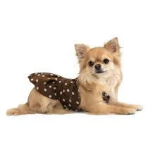 Сукня для тварин Pet Fashion Flirt ХXS коричнева (4823082424917)