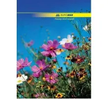 Канцелярська книга А4, 96с, NATURE Buromax (BM.2400)