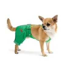Брюки для животных Pet Fashion "АРНИ" XS2 зеленые (4823082410446)