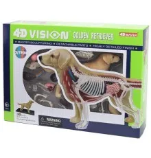 Пазл 4D Master Объемная анатомическая модель Собака золотистый ретривер (FM-622007)