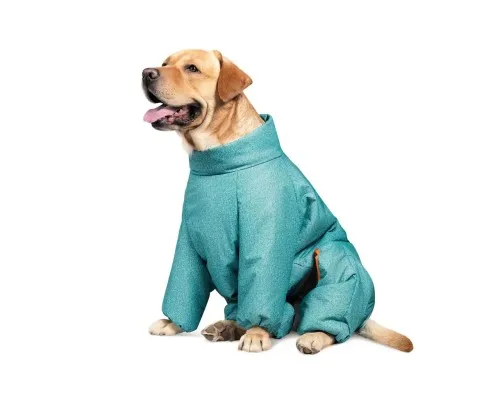 Комбинезон для животных Pet Fashion Cold L (бирюзовый) (4823082425358)