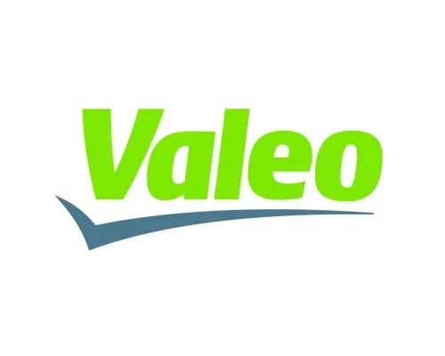 Повітряний фільтр для автомобіля Valeo 585428