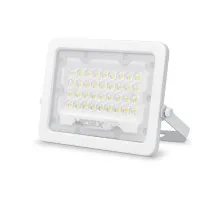 Прожектор Videx LED  30W 5000K 220V (VL-F2e-305W)