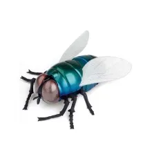 Радиоуправляемая игрушка Best Fun Toys Giant Fly (6337204)