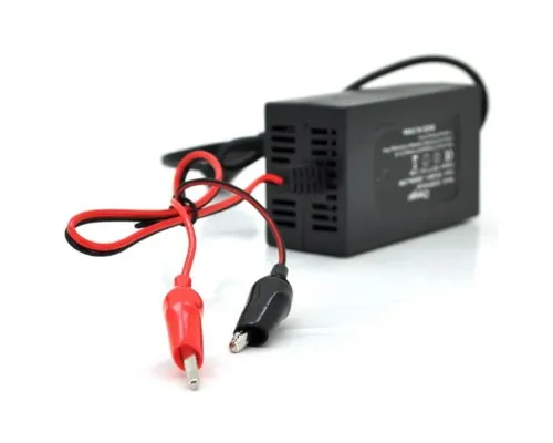 Сетевое зарядное устройство для АКБ Merlion YT-CH-12200