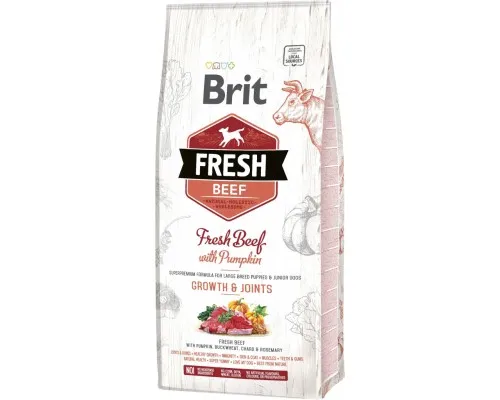 Сухий корм для собак Brit Fresh Beef/Pumpkin Puppy Large 12 кг (8595602530755)