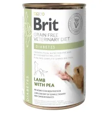 Консервы для собак Brit GF VetDiets Dog Diabetes 400 г (8595602535910)