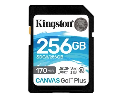 Карта памяті Kingston 256GB SDXC class 10 UHS-I U3 Canvas Go Plus (SDG3/256GB)