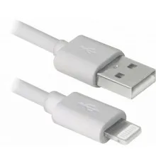 Дата кабель USB 2.0 AM to Lightning 1.0m MFI Rainbow REAL-EL (EL123500051)