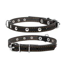 Нашийник для тварин Collar одинарний з прикрасами Ш 14 мм Д 27-35 см чорний (00041)