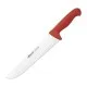 Кухонный нож Arcos серія 2900 для мяса 250 мм Червоний (291822)