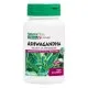 Трави Natures Plus Ашваганда, 450 мг, Ashwagandha, Herbal Actives, 60 Вегетаріанських Капс (NAP-07108)