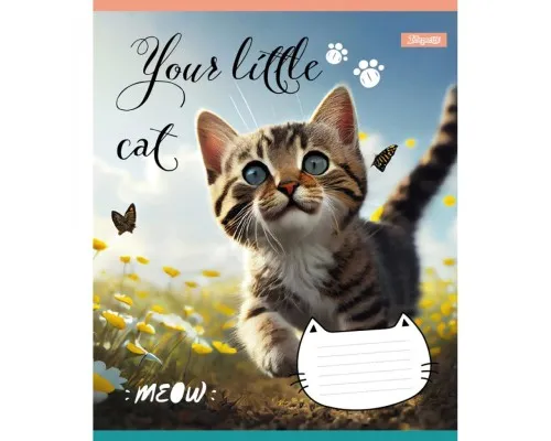 Зошит 1 вересня Your little cat 24 аркушів лінія (766653)