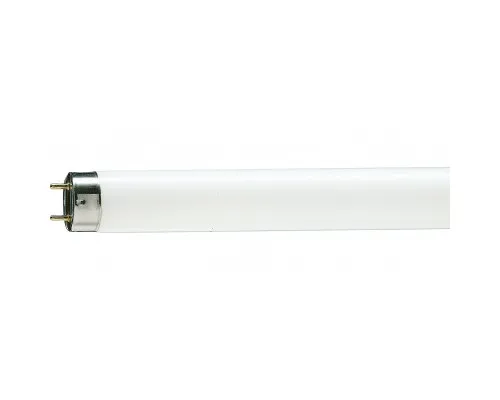 Лампочка Philips TL-D G13 600mm 18W/33-640 1SL/25 (928048003351)