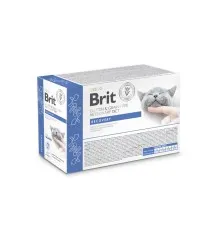 Вологий корм для кішок Brit GF VetDiets Recovery з лососем 85 г (8595602566747)