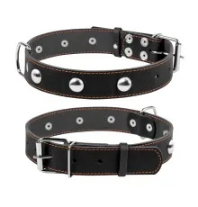 Нашийник для тварин Collar одинарний з прикрасами Ш 35 мм Д 48-63 см чорний (02711)