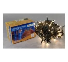 Гірлянда Delux зовнішня STRING 100 LED 10m (2*5m) білий/чорний IP44 EN (90020905)