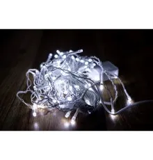 Гірлянда BPNY Борульки White 100 LED,3М,220V (102970)