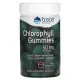 Травы Trace Minerals Хлорофилл, 50 мг, вкус ягод, Chlorophyll Gummies, 60 жевательных ко (TMR-00704)