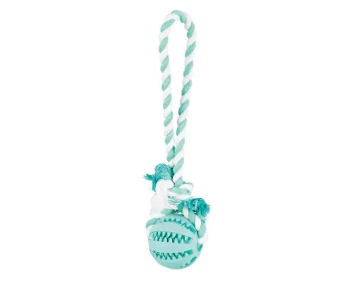 Іграшка для собак Trixie Denta Fun Мяч на мотузці 7х24 см (4011905032993)