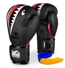 Боксерские перчатки Phantom Fight Squad Schwarz Black 10oz (PHBG2216-10)