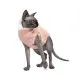 Светр для тварин Pet Fashion CAT S персик (4823082429684)