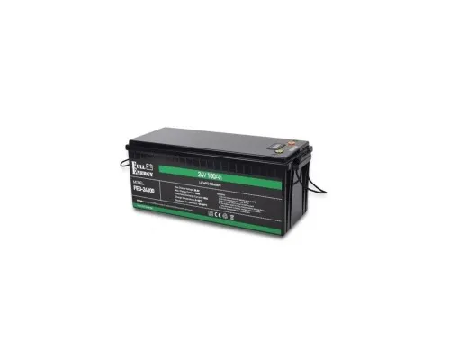 Батарея LiFePo4 Full Energy 24В 100Аг, FEG-24100 (FEG-24100)