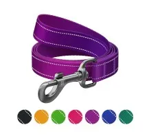 Повідок для собак WAUDOG Nylon Mono, світловідбивний M фіолетовий (52189)
