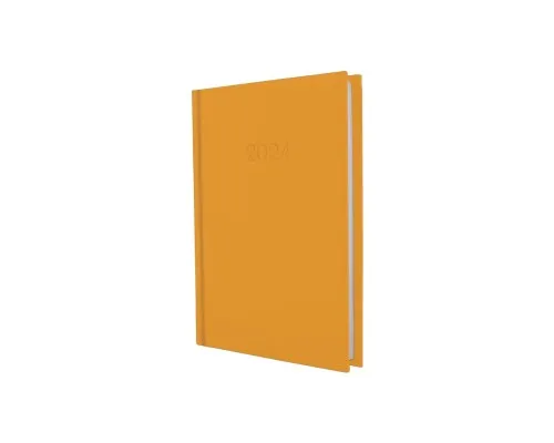Еженедельник Economix датированный 2024 SATIN оранжевый, А5 (E21612-06)