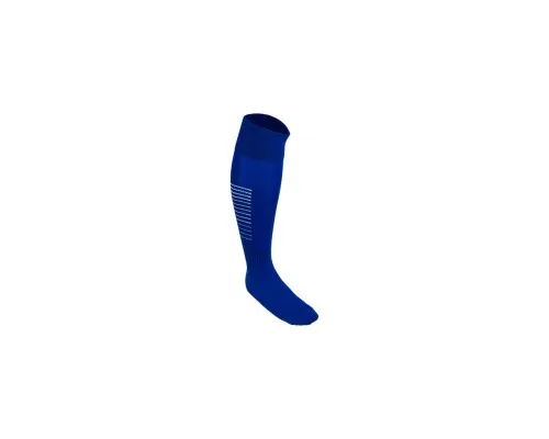 Гетры Select Football socks stripes синій, білий Чол 42-44 арт101777-012 (2603550152144)