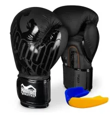 Боксерские перчатки Phantom Germany Eagle Black 10oz (PHBG2323-10)