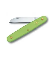 Ніж Victorinox Floral Matt Green Blister (3.9050.47B1)