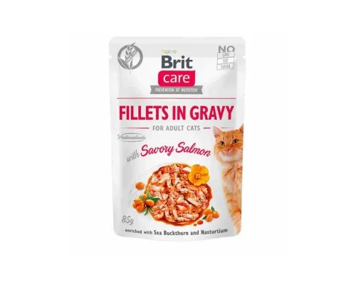 Вологий корм для кішок Brit Care Cat pouch 85 г (пікантний лосось у соусі) (8595602540525)