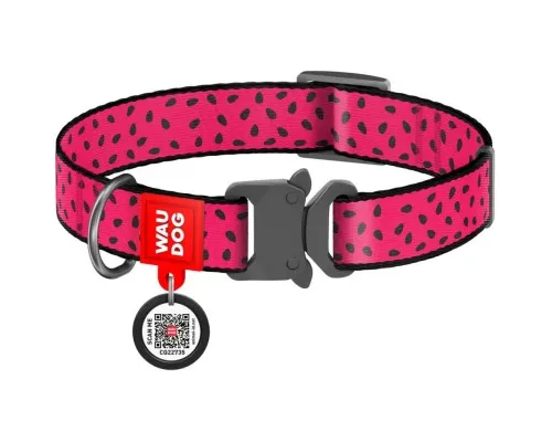 Нашийник для тварин WAUDOG Nylon Кавун металічна пряжка-фастекс XL (5150)