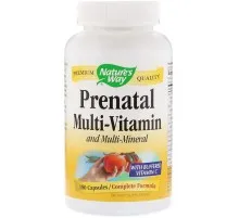 Мультивітамін Nature's Way Мультивітаміни для Вагітних, Prenatal Multi-Vitamin and Mult (NWY-45130)