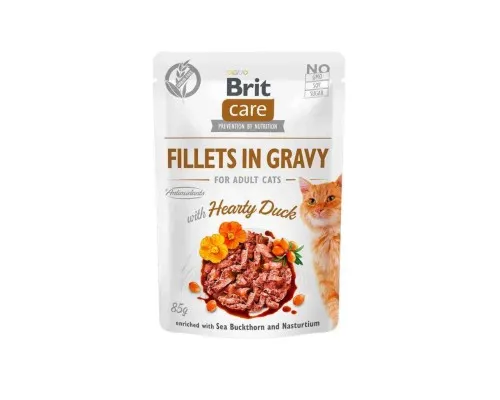 Влажный корм для кошек Brit Care Cat pouch 85 г (филе утки в соусе) (8595602540518)
