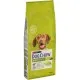 Сухой корм для собак Purina Dog Chow Adult Lamb со вкусом ягненка 14 кг (7613034487636)